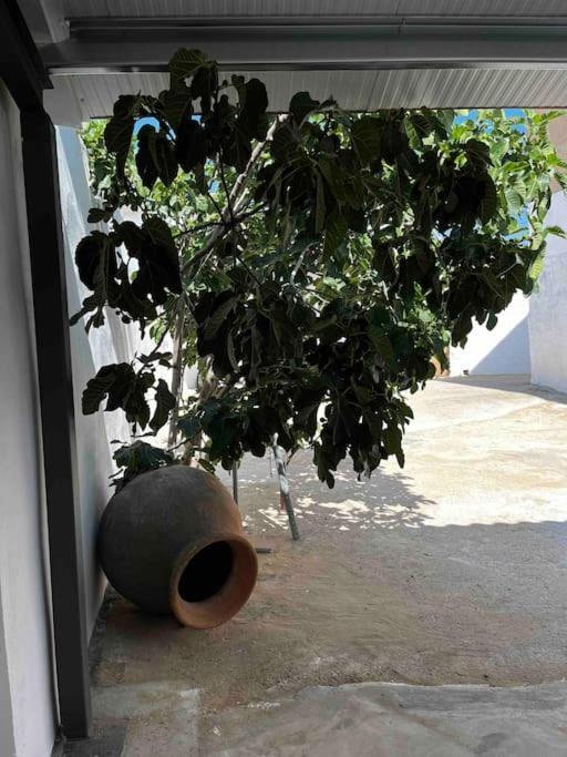 Agradable Casa Con Chimenea Interior Y Barbacoa. Villa Graja de Iniesta Exterior photo
